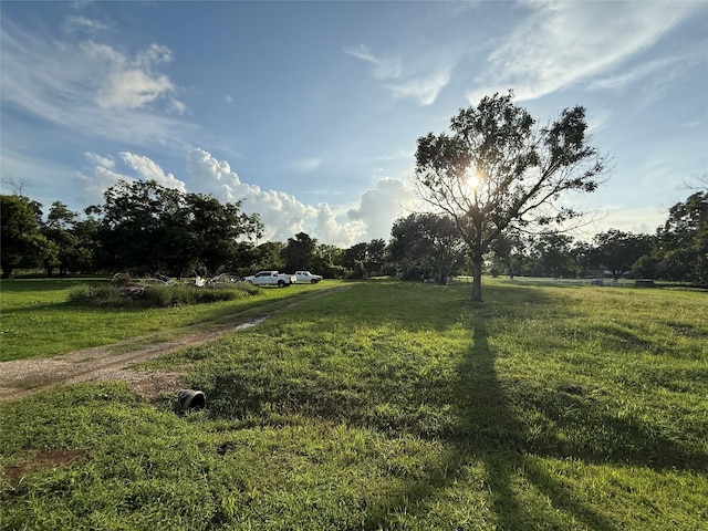315 Pony Ln, Simonton, TX 77485 - photo 4