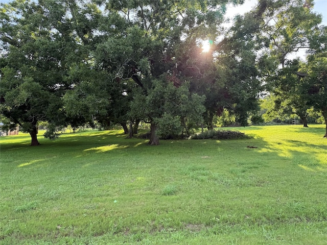 315 Pony Ln, Simonton, TX 77485 - photo 5