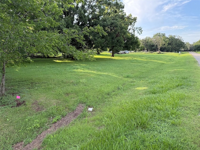 315 Pony Ln, Simonton, TX 77485 - photo 7