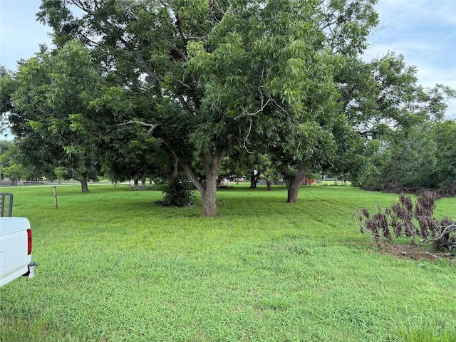 315 Pony Ln, Simonton, TX 77485 - photo 9
