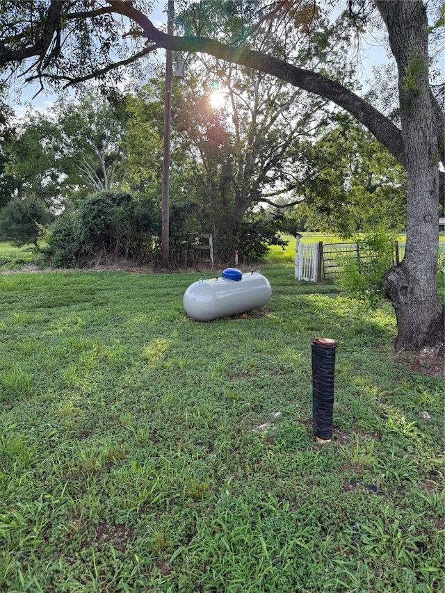 315 Pony Ln, Simonton, TX 77485 - photo 2
