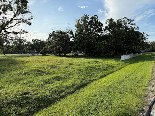 315 Pony Ln, Simonton, TX 77485 - photo 3