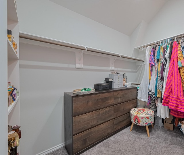 25446 Fossa Dr, Tomball, TX 77375 - spacious closet with carpet flooring