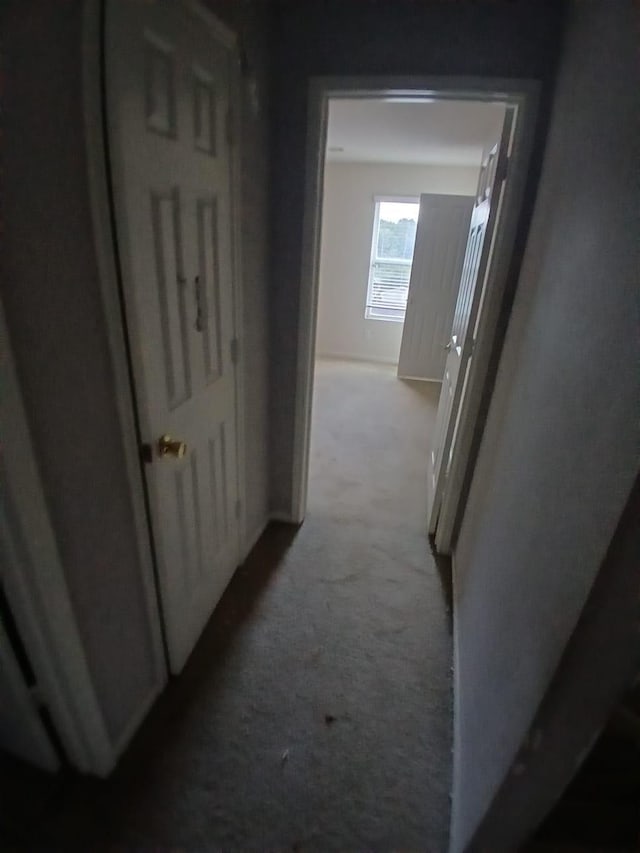1931 Cascade House Dr, Humble, TX 77396 - photo 18
