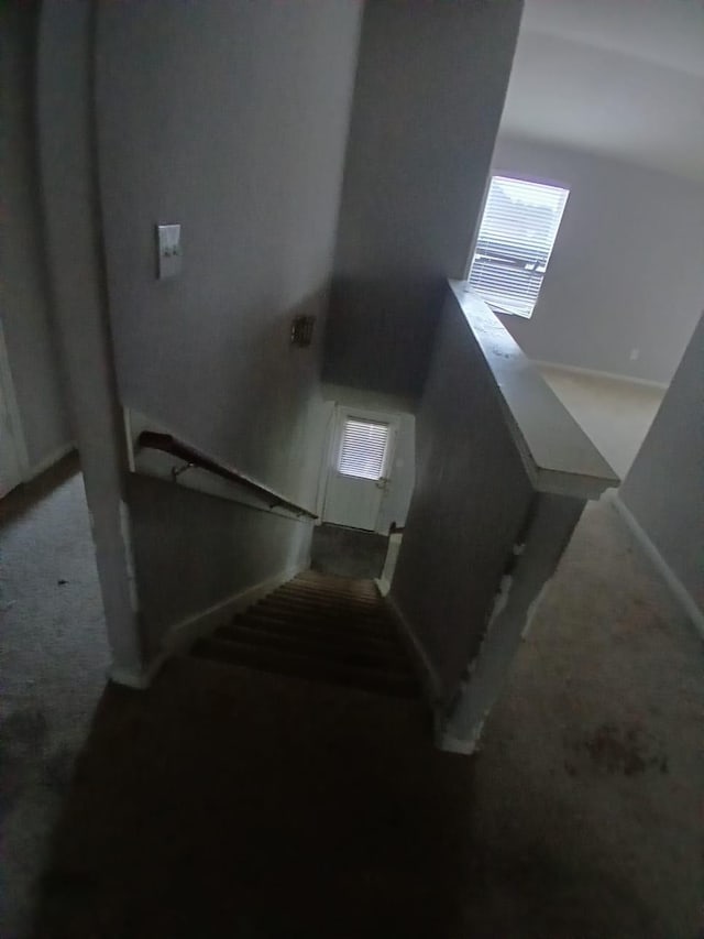 1931 Cascade House Dr, Humble, TX 77396 - photo 17