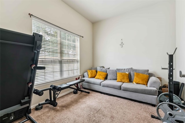230 Golden Grain Dr, Rosenberg, TX 77469 - photo 17