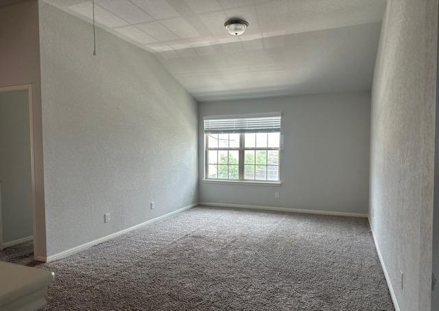 12906 Awuzie Trl, San Antonio, TX 78254 - carpeted empty room with vaulted ceiling and a textured wall