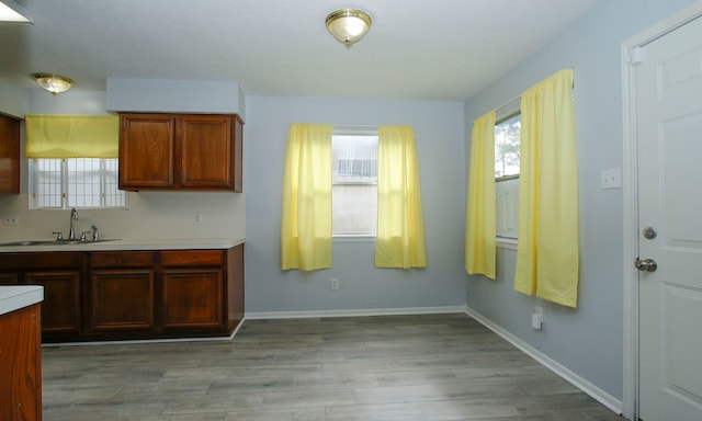 22635 River Birch Dr, Tomball, TX 77375 - kitchen with light countertops, healthy amount of natural light, and light wood-type flooring