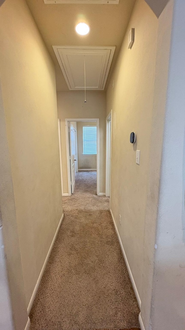 20530 Keegans Ledge Ln, Cypress, TX 77433 - corridor with attic access and carpet flooring