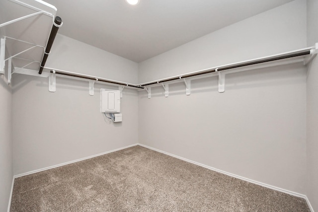 1702 Cooper Bluff Ct, Richmond, TX 77469 - photo 25