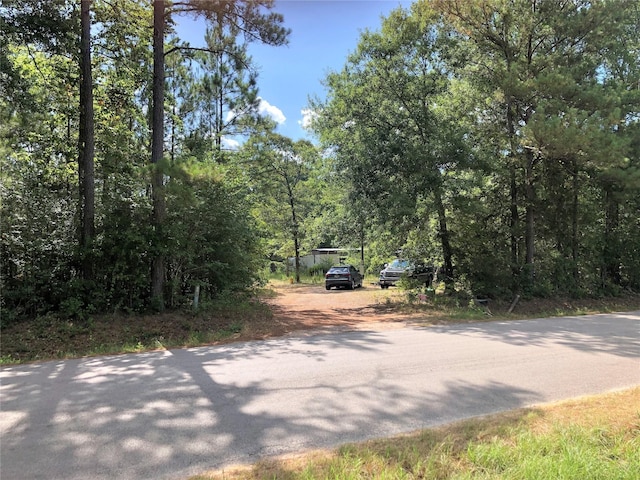 26685 Clark Rd, Waller, TX 77484 - photo 1