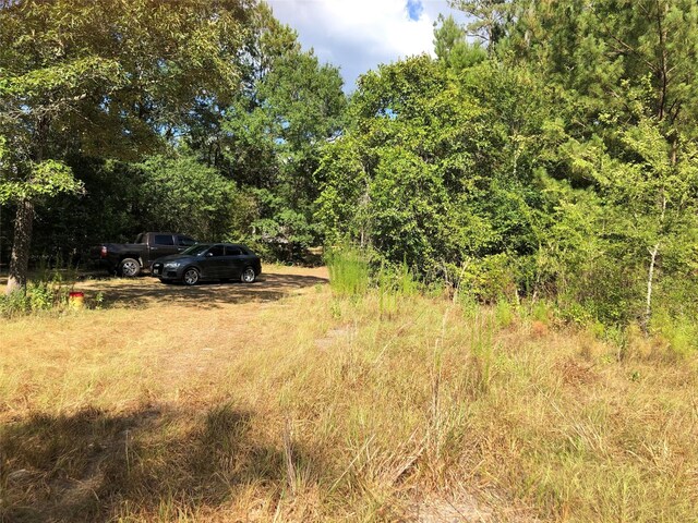 26685 Clark Rd, Waller, TX 77484 - photo 2