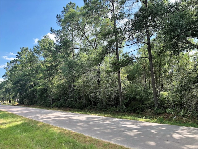 26685 Clark Rd, Waller, TX 77484 - photo 3