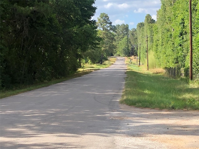 26685 Clark Rd, Waller, TX 77484 - photo 4