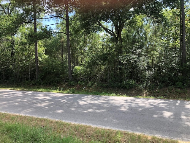 26685 Clark Rd, Waller, TX 77484 - photo 5