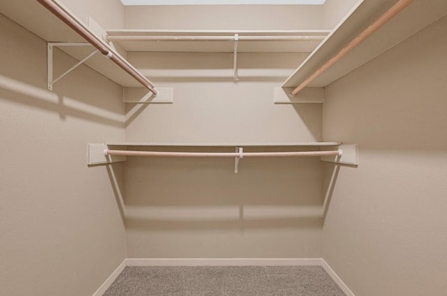 9809 Richmond Ave Unit 8, Houston, TX 77042 - walk in closet featuring carpet