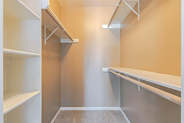 2315 Huldy St, Houston, TX 77019 - spacious closet with carpet floors