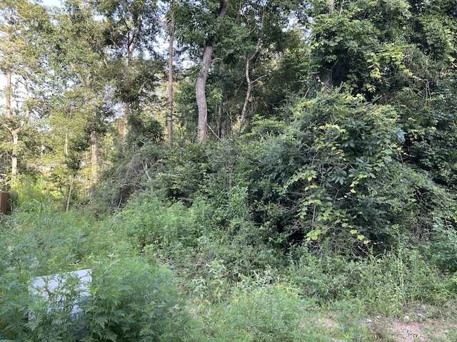 000 Bonham, Willis, TX 77378 - photo 6