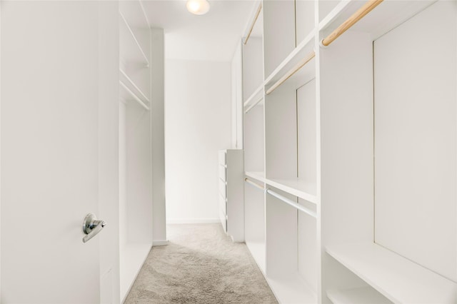 2232 Leeland St, Houston, TX 77003 - walk in closet featuring light colored carpet
