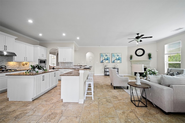 27910 Wedgeoak Ct, Katy, TX 77494 - kitchen featuring arched walkways, open floor plan, a ceiling fan, crown molding, and under cabinet range hood