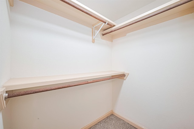 982 W Donovan St, Houston, TX 77091 - walk in closet with carpet floors