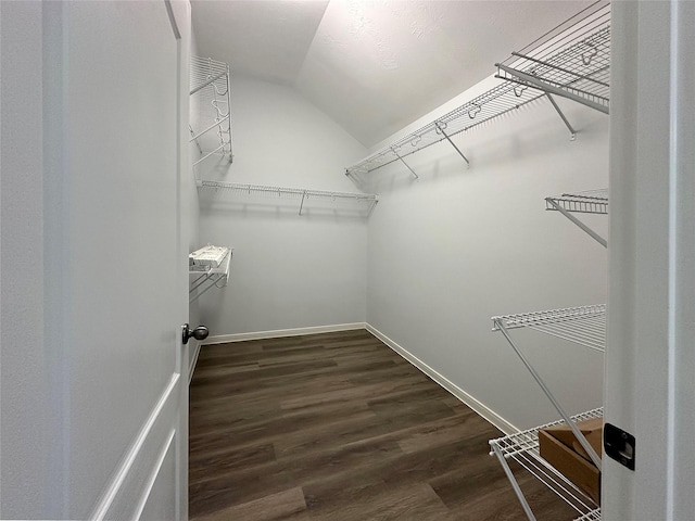 8022 Thorncroft Manor Ln, Richmond, TX 77407 - spacious closet featuring dark wood-type flooring and vaulted ceiling