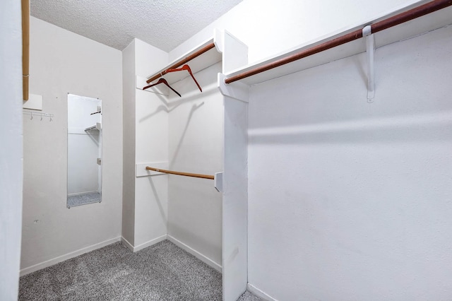 17203 Kettle Creek Dr, Spring, TX 77379 - spacious closet with carpet