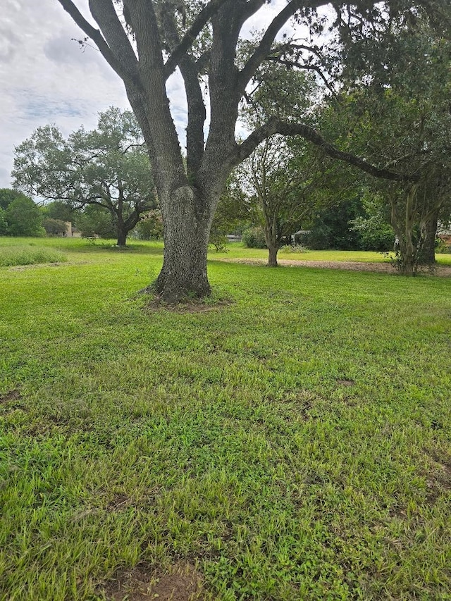 2420 Fm 1094th Rd, Sealy, TX 77474 - photo 5