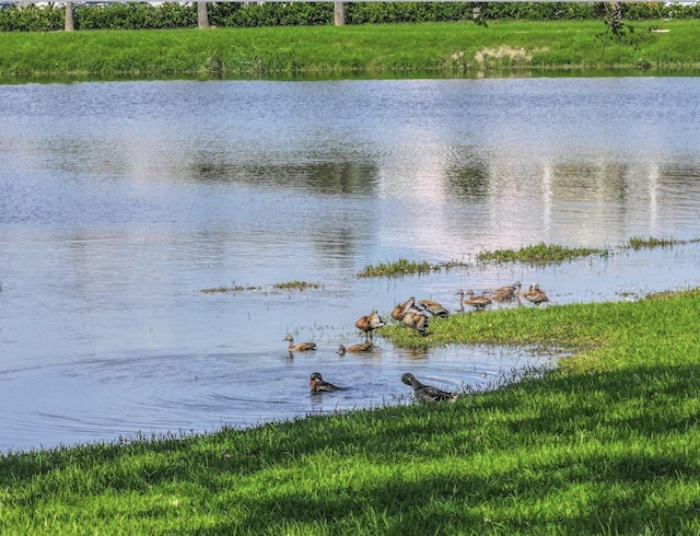 6 Caravelle Ct, Galveston, TX 77554 - water view