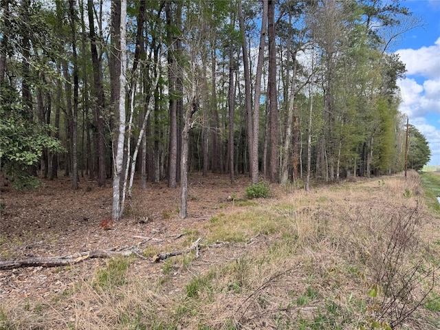 0 County Road 2317, Dayton, TX 77535 - photo 1