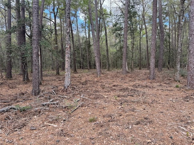 0 County Road 2317, Dayton, TX 77535 - photo 2