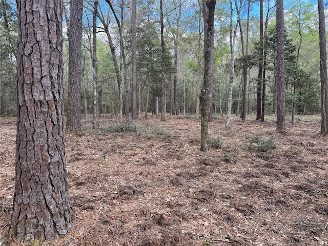 0 County Road 2317, Dayton, TX 77535 - photo 5