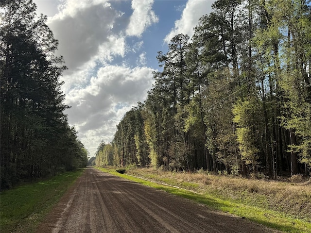 0 County Road 2317, Dayton, TX 77535 - photo 6