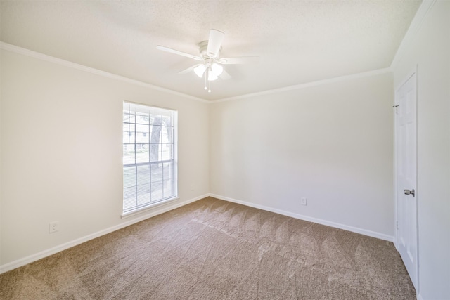 1011 Baltic Ln, Houston, TX 77090 - photo 17