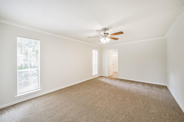 1011 Baltic Ln, Houston, TX 77090 - photo 20