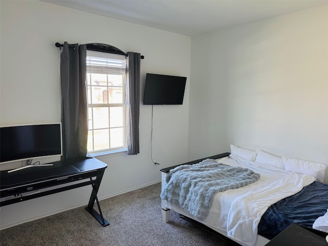 20367 Tembec Dr, New Caney, TX 77357 - bedroom featuring carpet