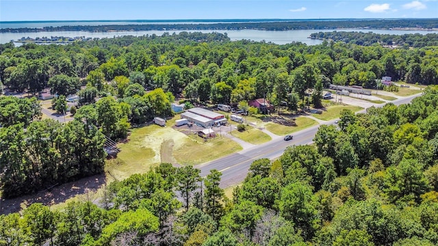 11505 US Highway 190 W, Livingston, TX 77351 - aerial view of a large body of water