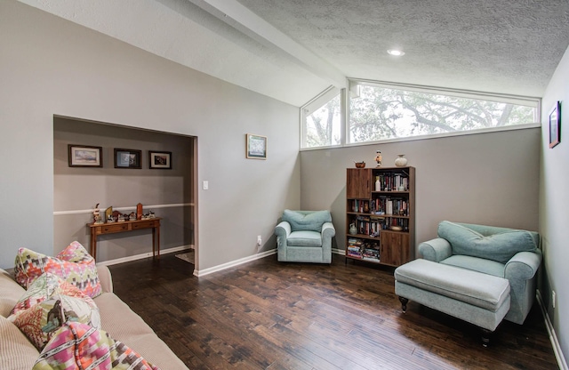9818 Emnora Ln, Houston, TX 77080 - living area with vaulted ceiling, hardwood / wood-style flooring, and a textured ceiling