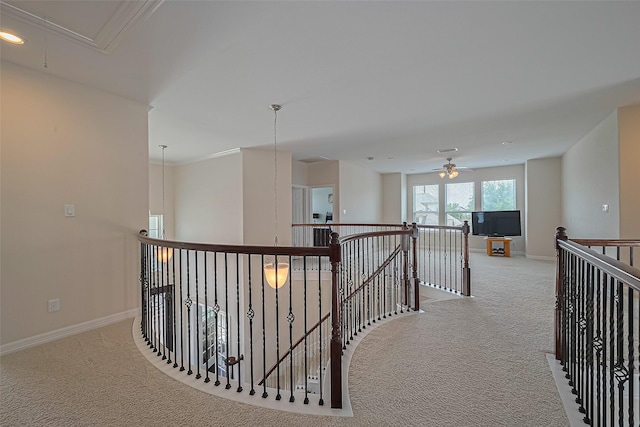 12607 Fall Branch Ln, Pearland, TX 77584 - photo 29