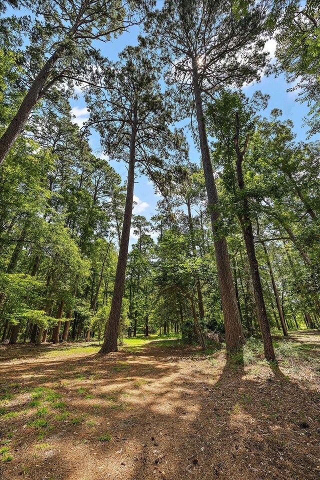 460 Timberlane Loop, Hemphill, TX 75948 - photo 12
