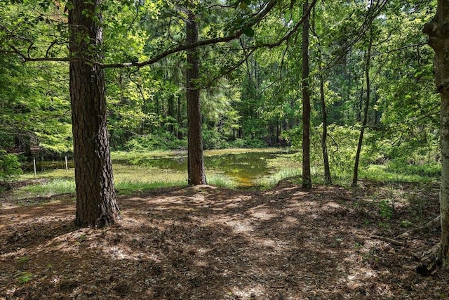 460 Timberlane Loop, Hemphill, TX 75948 - photo 13