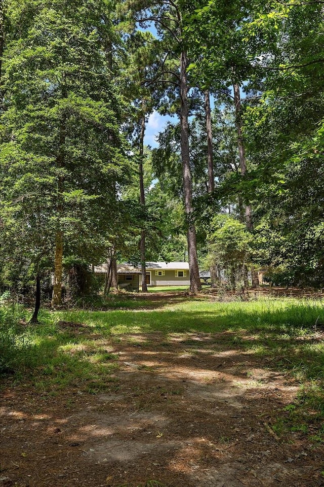 460 Timberlane Loop, Hemphill, TX 75948 - photo 14