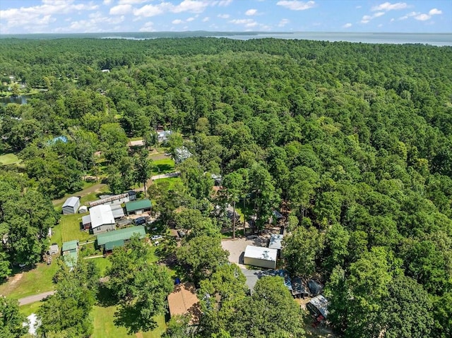 460 Timberlane Loop, Hemphill, TX 75948 - photo 17