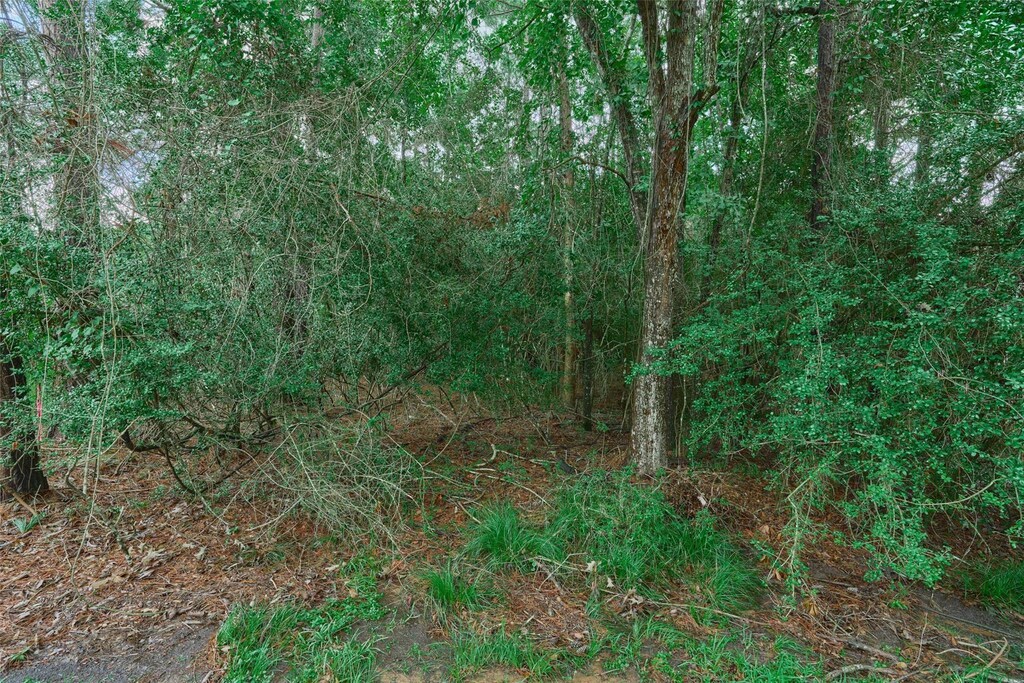 21 Timber Ln, Conroe, TX 77384
