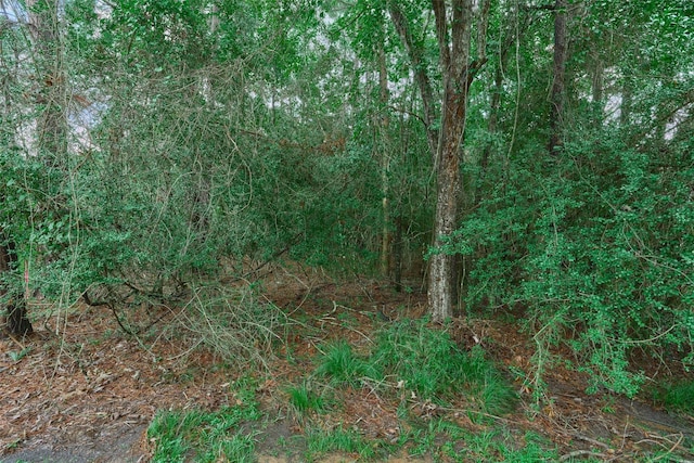 21 Timber Ln, Conroe, TX 77384