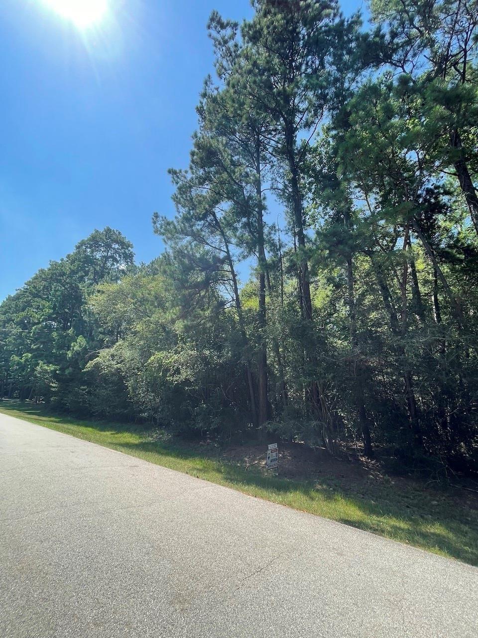 21 Timber Ln, Conroe, TX 77384