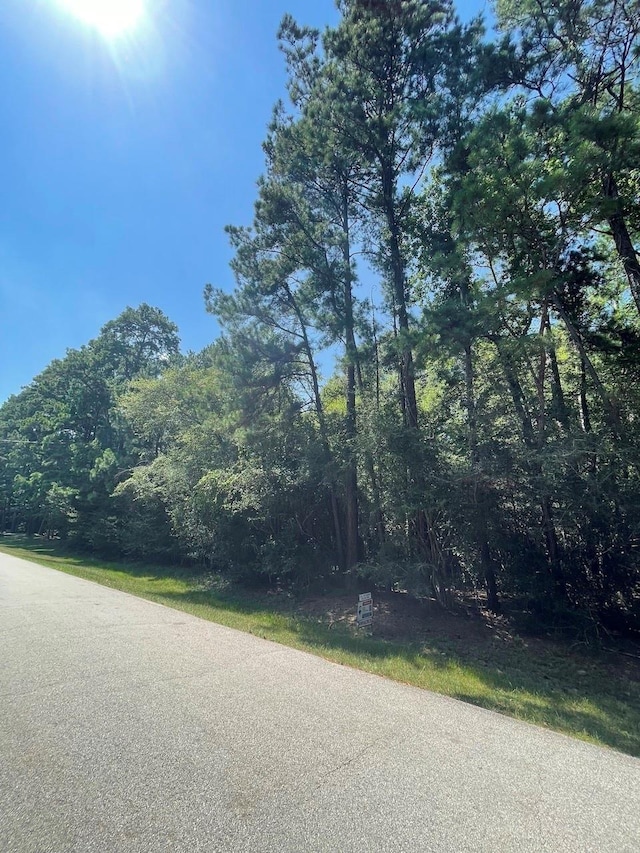21 Timber Ln, Conroe, TX 77384
