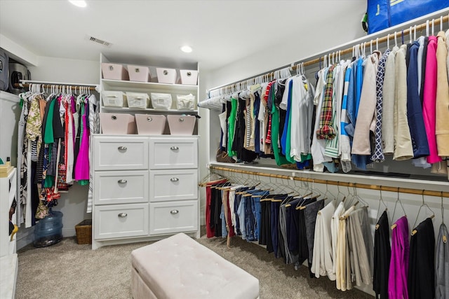 206 Lakemere St, Houston, TX 77079 - walk in closet with carpet