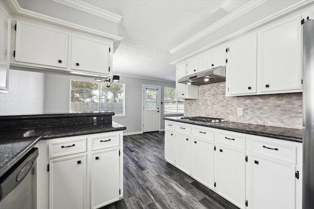 1804 Sleepy Creek Way, Pearland, TX 77581 - kitchen featuring under cabinet range hood, appliances with stainless steel finishes, a textured ceiling, white cabinetry, and dark wood-type flooring