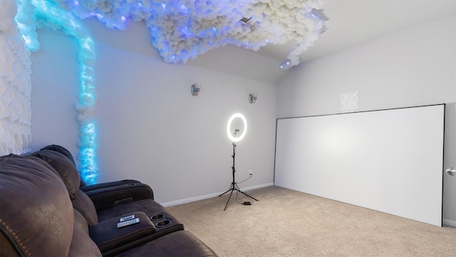 4806 Blue Jacaranda Way, Spring, TX 77373 - photo 24